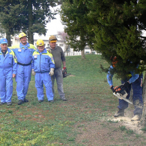 Addestramento del 15/03/14 n. 2 / 105569