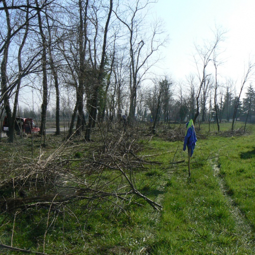 Addestramento del 08/03/14 n. 2 / 105576