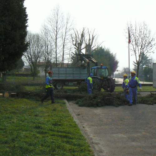 Addestramento del 15/03/14 n. 3 / 105570