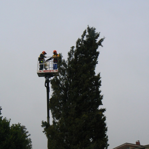 Addestramento del 15/03/14 n. 5 / 105572