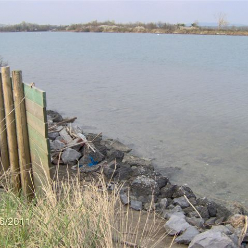Controllo argini Isola della Cona n. 4 / 63392