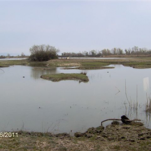 Controllo argini Isola della Cona n. 10 / 63398