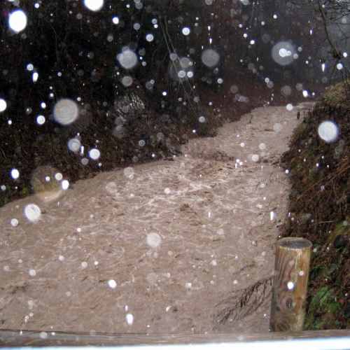 Evento 30/11/09 a Forni di Sotto n. 11 / 45697