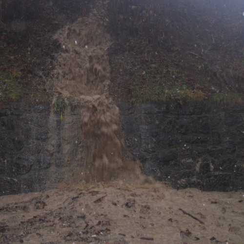 Evento 30/11/09 a Forni di Sotto n. 16 / 45702