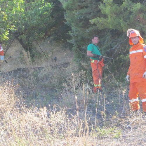 X∞ turno Puglia 2011 n. 7 / 70171