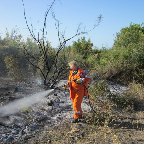 X∞ turno Puglia 2011 n. 8 / 70172