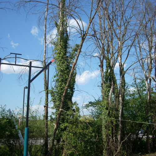 Attivit‡ 09/04/11 n. 6 / 63930