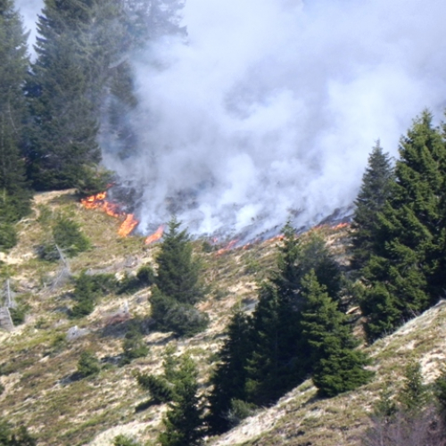 Incendio boschivo in zona Navantes n. 1 / 64179