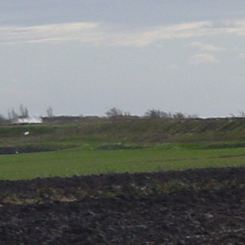 Aquileia argine laguna / 32722