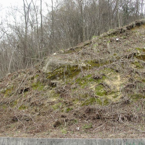 foto 03 / 7769
