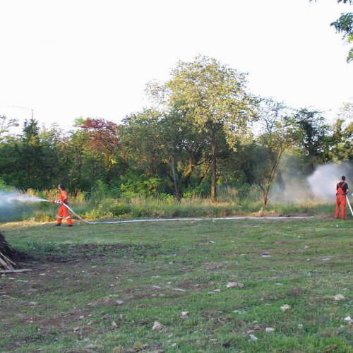 Preparazione sito 2 / 14649
