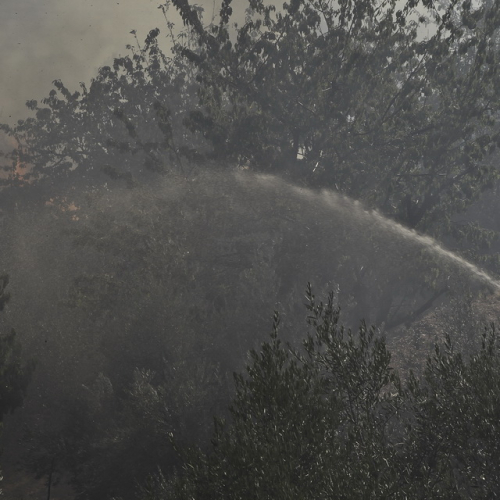 Incendio boschivo del 24/08 n. 2 / 85613
