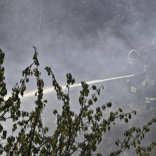 Incendio boschivo del 24/08 n. 3 / 85614