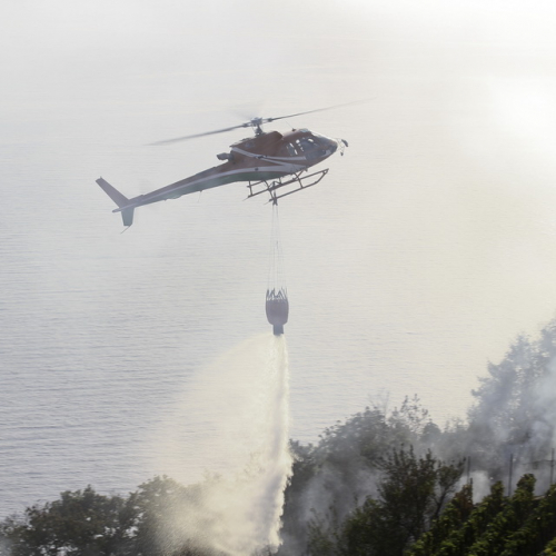 Incendio boschivo del 24/08 n. 4 / 85615