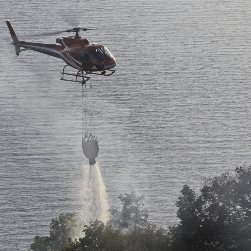 Incendio boschivo del 24/08 n. 5 / 85616