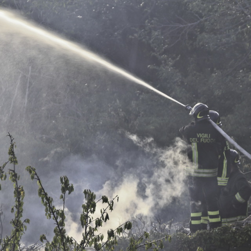 Incendio boschivo del 24/08 n. 7 / 85618