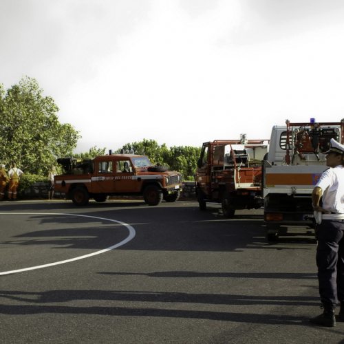 Incendio boschivo del 24/08 n. 9 / 85620