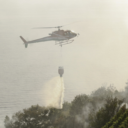 Incendio boschivo del 24/08 n. 11 / 85622