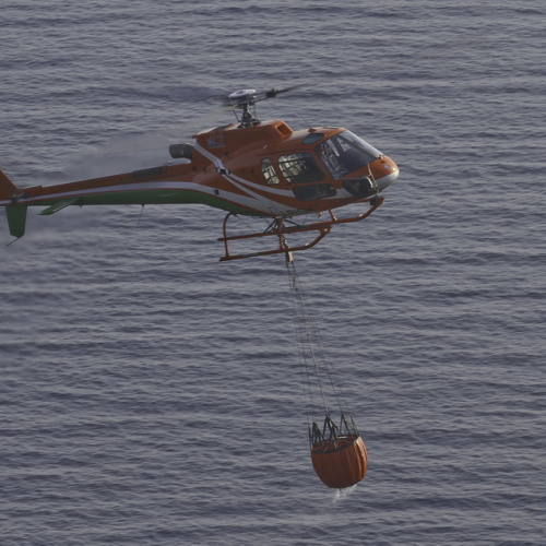 Incendio boschivo del 24/08 n. 12 / 85623