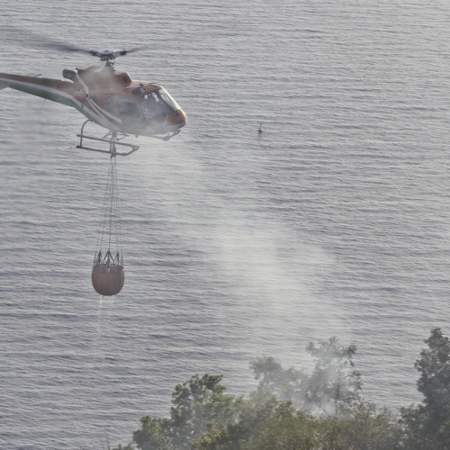 Incendio boschivo del 24/08 n. 13 / 85624