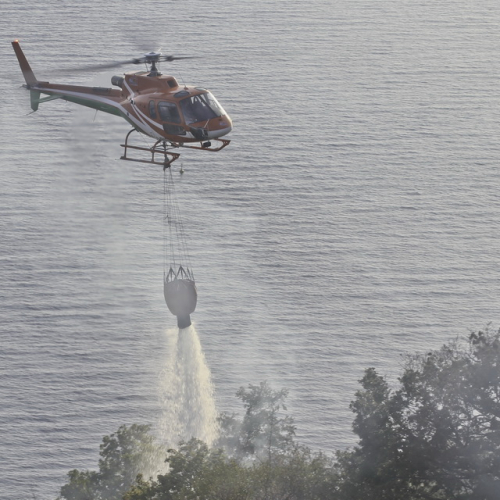 Incendio boschivo del 24/08 n. 14 / 85625