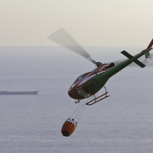 Incendio boschivo del 24/08 n. 15 / 85626