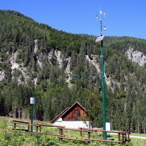 Fusine Alpe del lago settembre 2009 / 44998