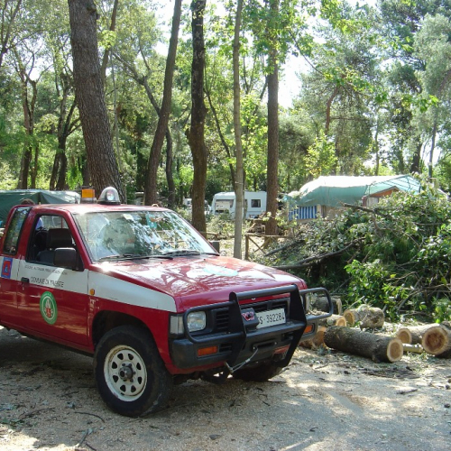 Volontari di Trieste emergenza 9 agosto 1 / 28333