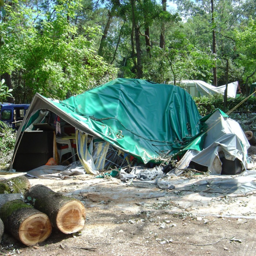 Volontari di Trieste emergenza 9 agosto 5 / 28337