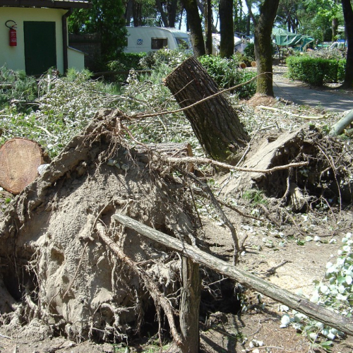 Volontari di Trieste emergenza 9 agosto 7 / 28339