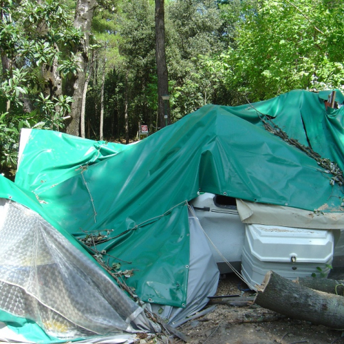 Volontari di Trieste emergenza 9 agosto 8 / 28340