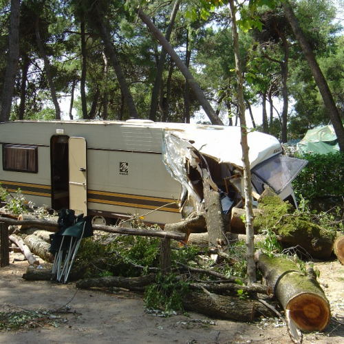 Volontari di Trieste emergenza 9 agosto 10 / 28342