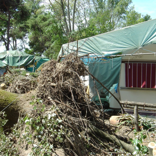 Volontari di Trieste emergenza 9 agosto 13 / 28345