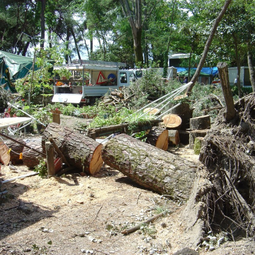 Volontari di Trieste emergenza 9 agosto 14 / 28346