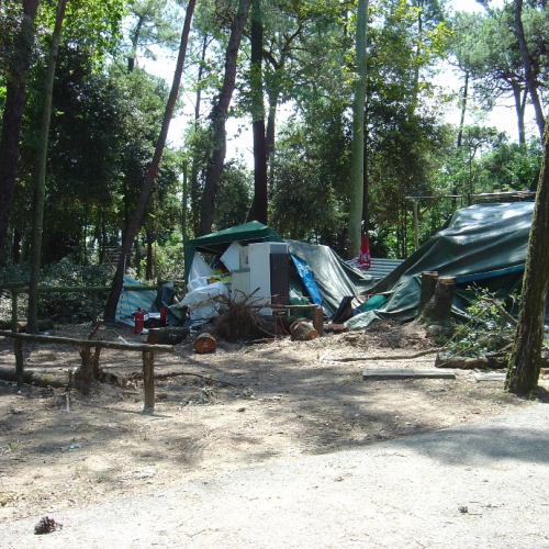 Volontari di Trieste emergenza 9 agosto 17 / 28349