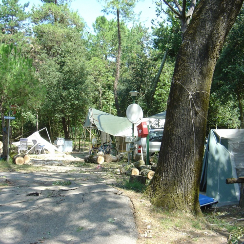 Volontari di Trieste emergenza 9 agosto 18 / 28350
