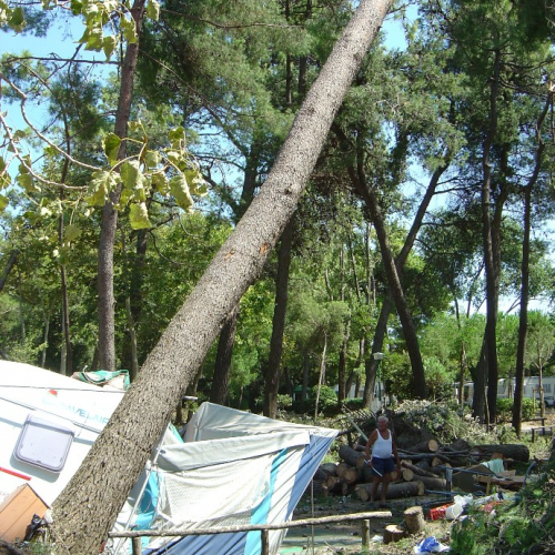 Volontari di Trieste emergenza 9 agosto 20 / 28352