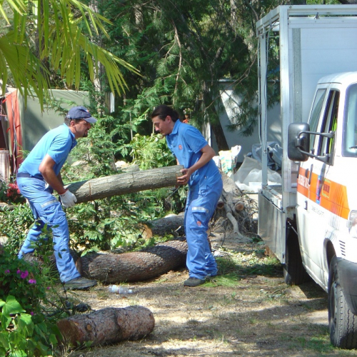 Volontari di Trieste emergenza 9 agosto 27 / 28359