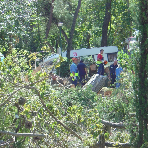 Volontari di Trieste emergenza 9 agosto 28 / 28360