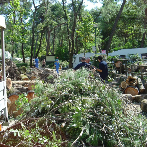 Volontari di Trieste emergenza 9 agosto 29 / 28361