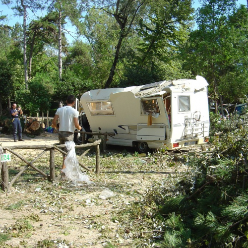 Volontari di Trieste emergenza 9 agosto 30 / 28362