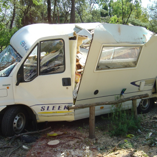 Volontari di Trieste emergenza 9 agosto 31 / 28363