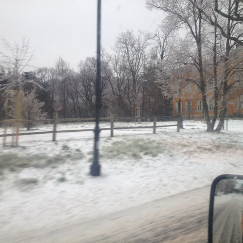 Interventi per maltempo del 25-26/03 n. 29 / 92467