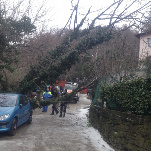 Interventi per maltempo del 25-26/03 n. 43 / 92481