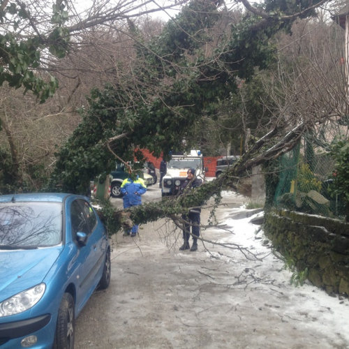 Interventi per maltempo del 25-26/03 n. 44 / 92482