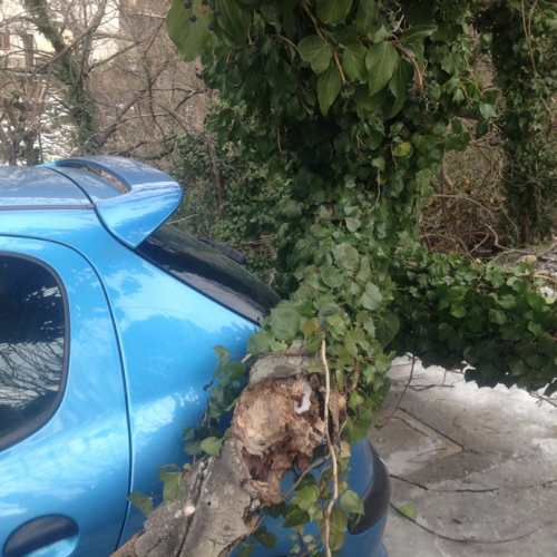 Interventi per maltempo del 25-26/03 n. 45 / 92483