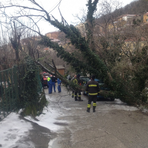 Interventi per maltempo del 25-26/03 n. 46 / 92484