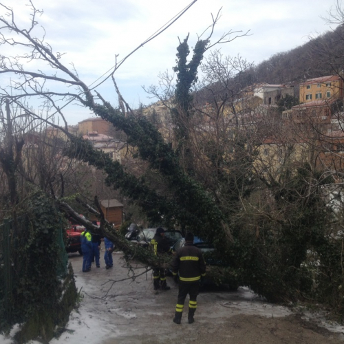 Interventi per maltempo del 25-26/03 n. 47 / 92485