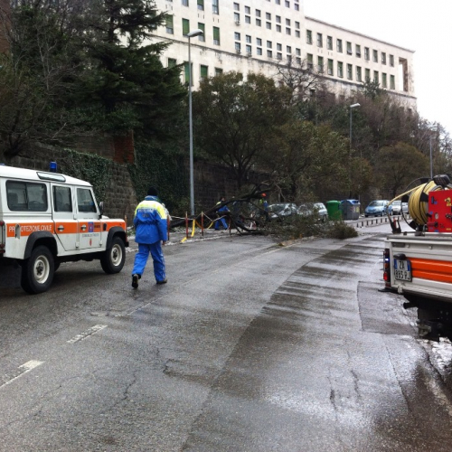 Interventi per maltempo del 25-26/03 n. 48 / 92486