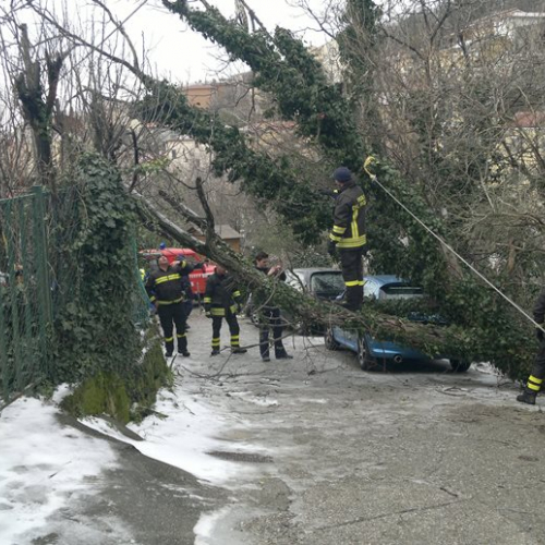 Interventi per maltempo del 25-26/03 n. 49 / 92487